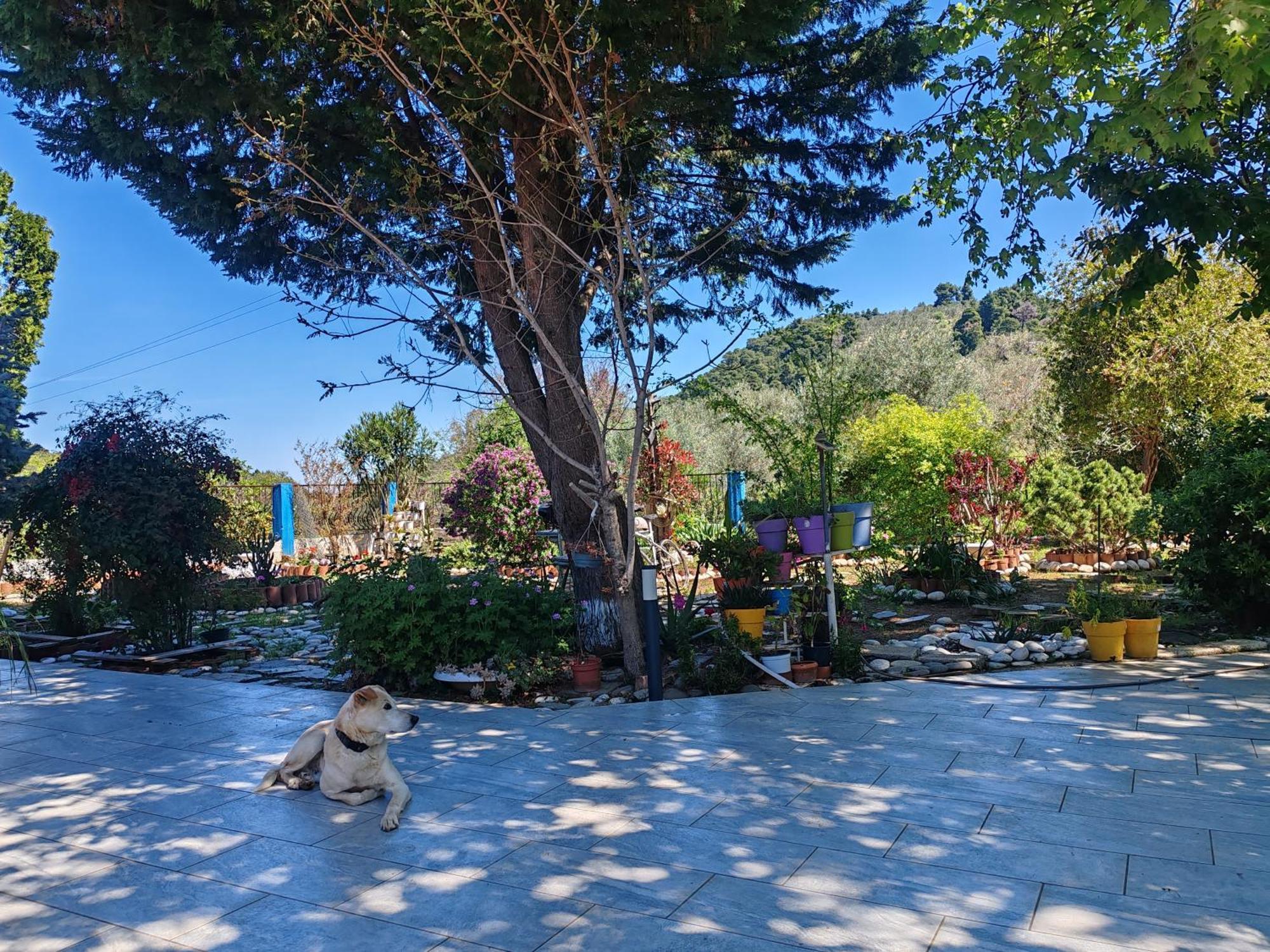 Εξοχική Κατοικία - Cottage Τίνα Líri Exterior foto